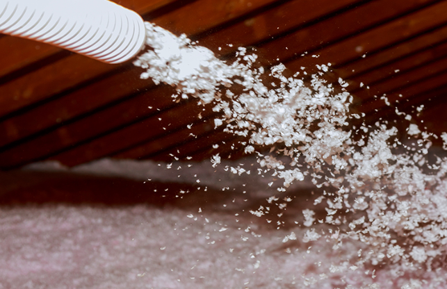 Actividad del negocio 6